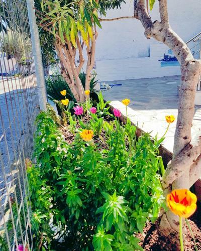 Doukas Apartments