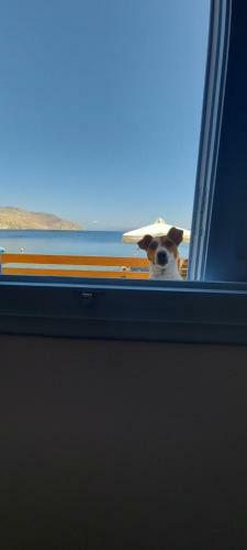 Symi . Villa Calme (Sur La Mer).