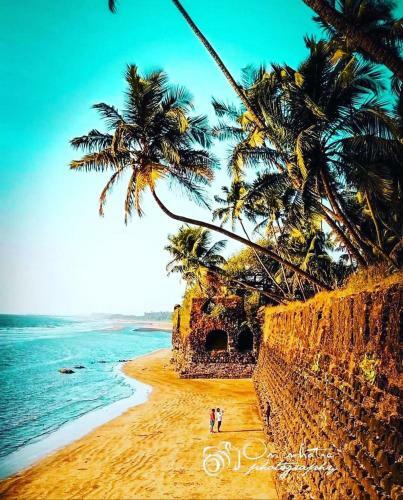 Beach Camping Alibag