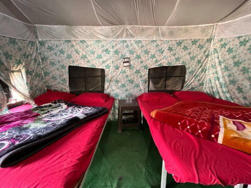 Camps In Rishikesh By Pt