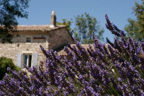 Hotel La Vivande