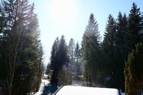 Apartamento Freien Living Angerberg