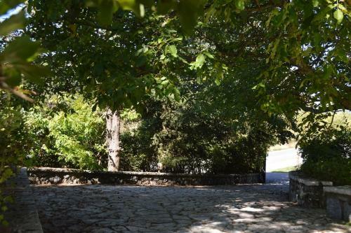 Villa Vytina With Garden And Bbq