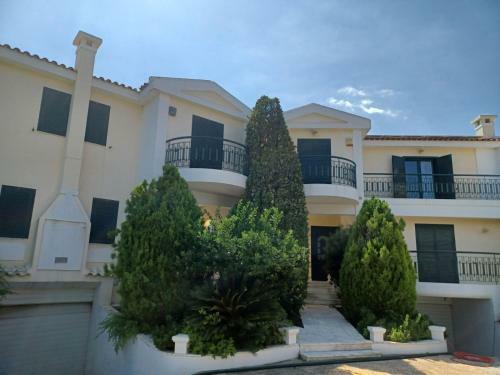 Palmar Club - Villa Zenobia
