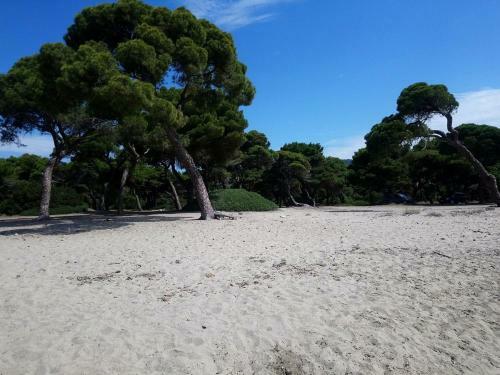 Palmar Club - Villa Zenobia