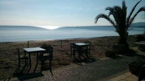 Palmar Club - Villa Zenobia
