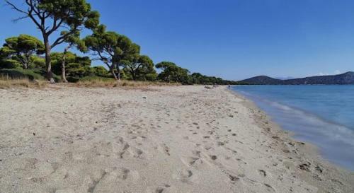 Palmar Club - Villa Zenobia