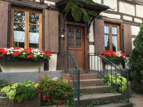 Apartamento Gites La Cour Zaepffel