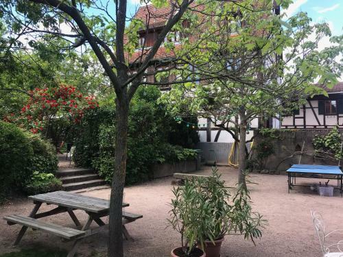 Apartamento Gites La Cour Zaepffel