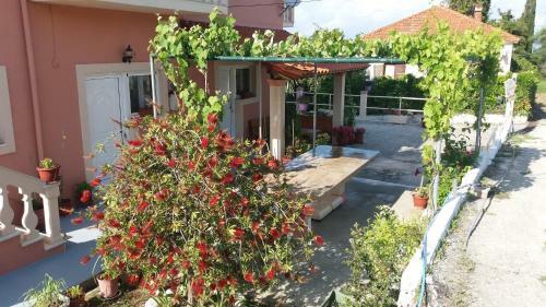 Lena Apartments