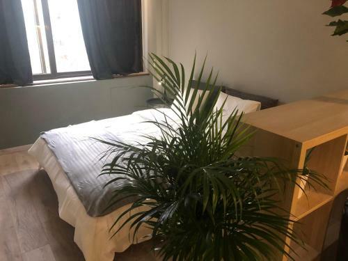 Apartamento District 01-luxury Urban Lofts
