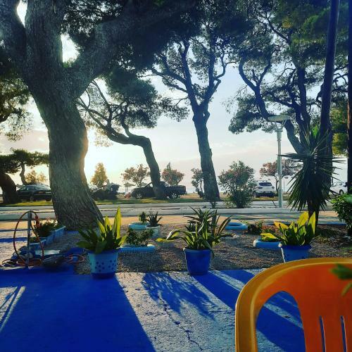 Apartamento Mimika Studios
