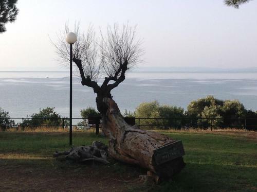 Halkidiki Trikorfo Luxury Maisonette