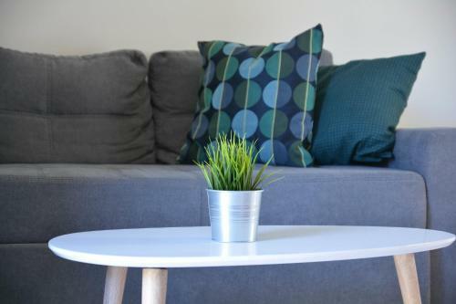 Oasis Apartment