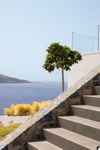 Rock Bay Villas - Luxury Villas In Crete