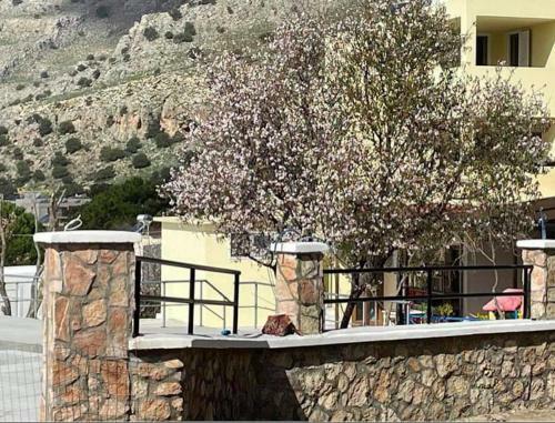 Hostal Room In Studio - Rock Garden Apartment By The Beach
