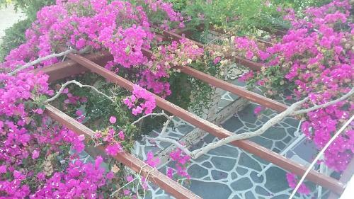 Apartamento Sundeck