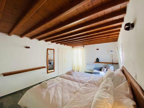 Patron Pool Villa By Mykonos & More