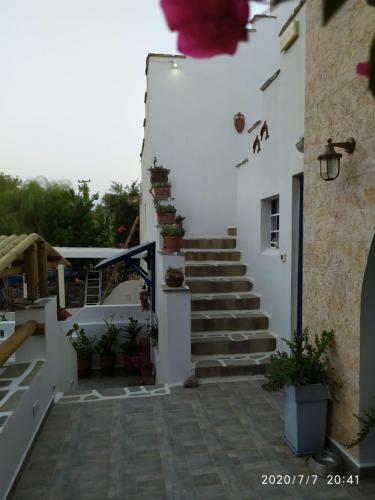 Hostal Actis Studios