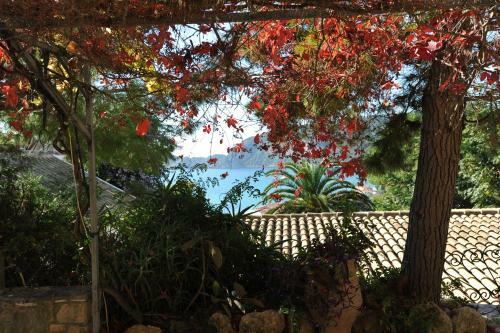 Villa Theodora View Apartments Afroditi