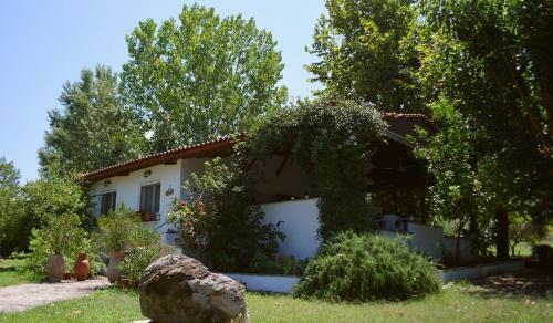 #flh - Summer Retreat In Sithonia