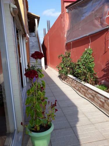 Hostal Porto-fino