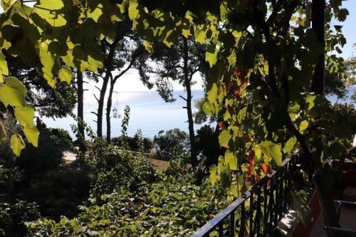 Mathesi Apartment Sea View