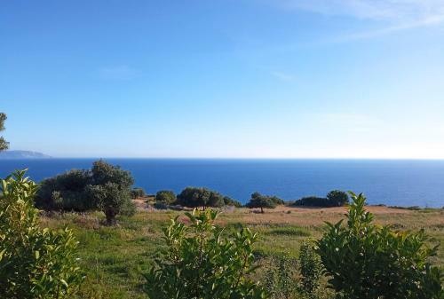 Casa Assisi Luxury New Villa With Private Pool