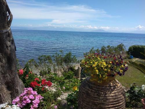 Agroturismo Studio Nausica... A Sense Of Paradise!