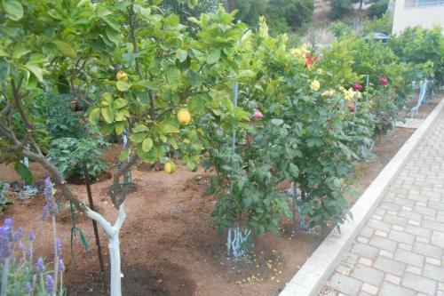 Luxurius Independent 3rd Floor In Villa