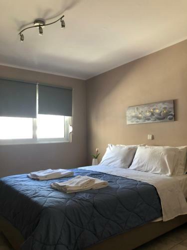 *new* Central Apartment In Ialisos