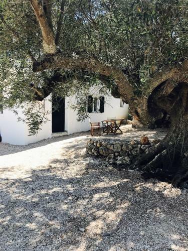 Villa Fioro