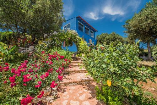 Villa Reta