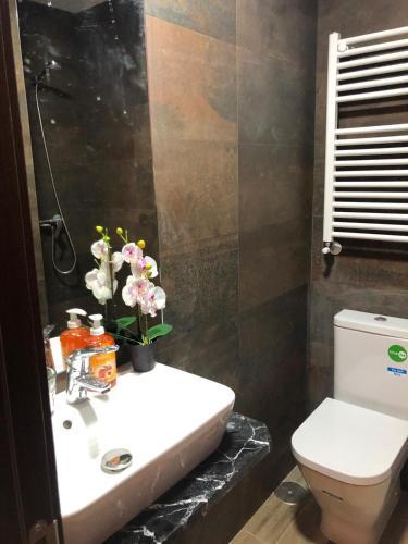 Hostal Coraz�n De Madrid