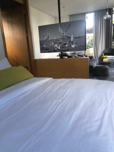 Hostal Felina Place By Shuli