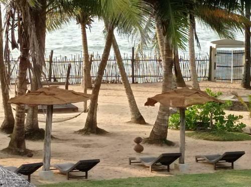 Bed & Breakfast Cocovilla Boutique Resort