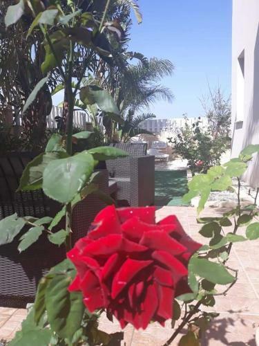 Apartamento Garden Art