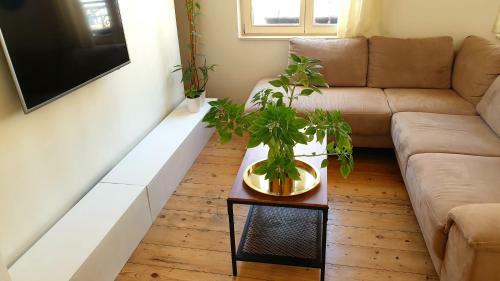 Apartamento Areuhalf