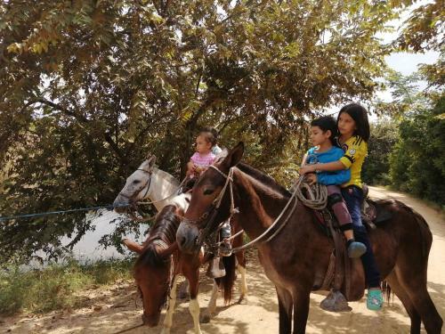 Hotel Finca Ecoturistica Los Jagueyes