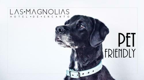 Hotel Las Magnolias