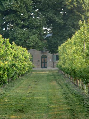 Agroturismo Agriturismo Alla Casella