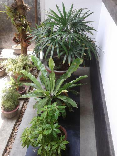Hostal Jlh Beach Hotel Hikkaduwa