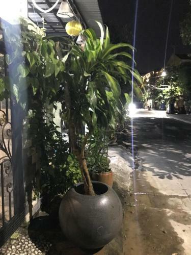 Hostal Hoi An Homestay Bui Family