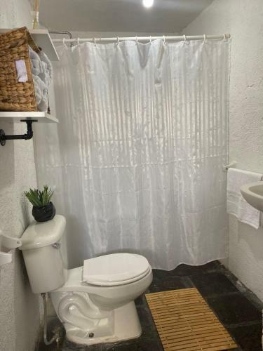 Apartamento C�ntrica Y Encantadora Suite �mbar