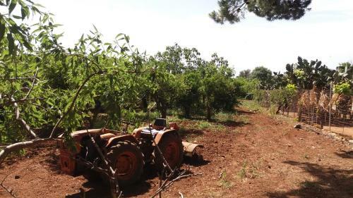 Agroturismo Tenuta Venezia