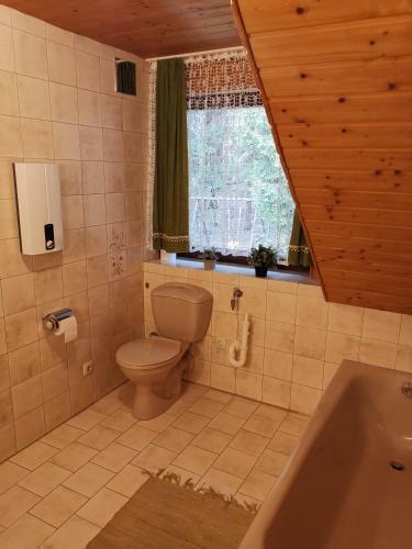 Apartamento Ferienwohnung Haus Daxberg Bayerischer Wald