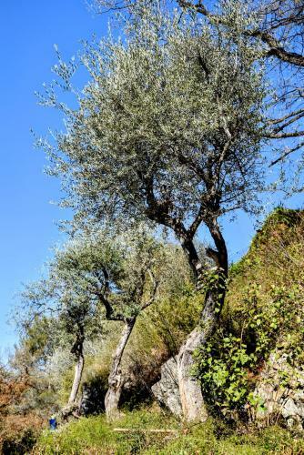Bed & Breakfast Chambre D'h�tes Cottes