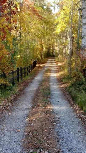 Autumns Hollow - Adorable Rustic Log Cabin Lake View, Pet Friendly