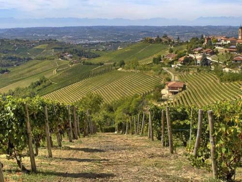 Modern Cottage In Savigliano With Private Garden