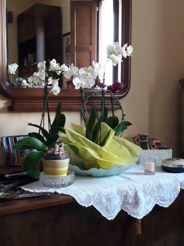 Bed&breakfast Pianeta Benessere